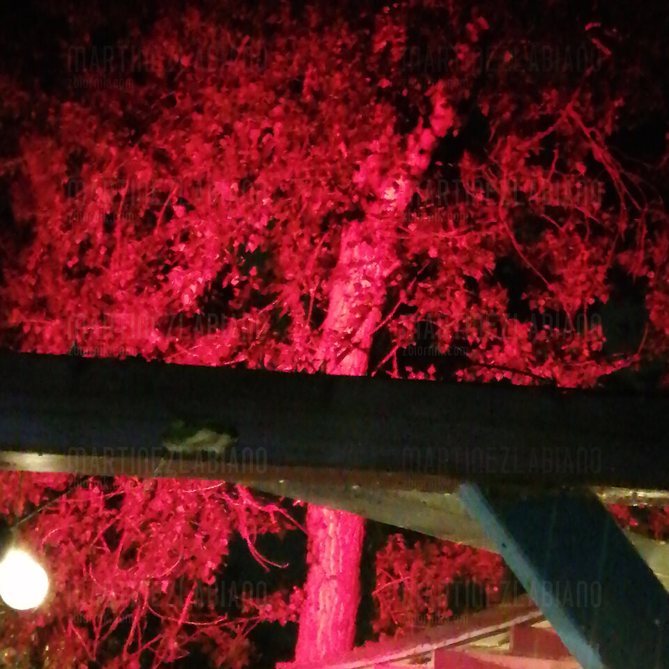 Bałkańska potupajka.jpg - MartinezLabiano