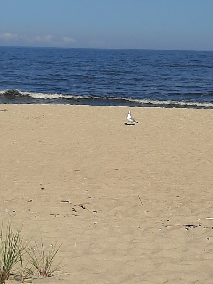 20200812_101714.jpg - ciekawy62