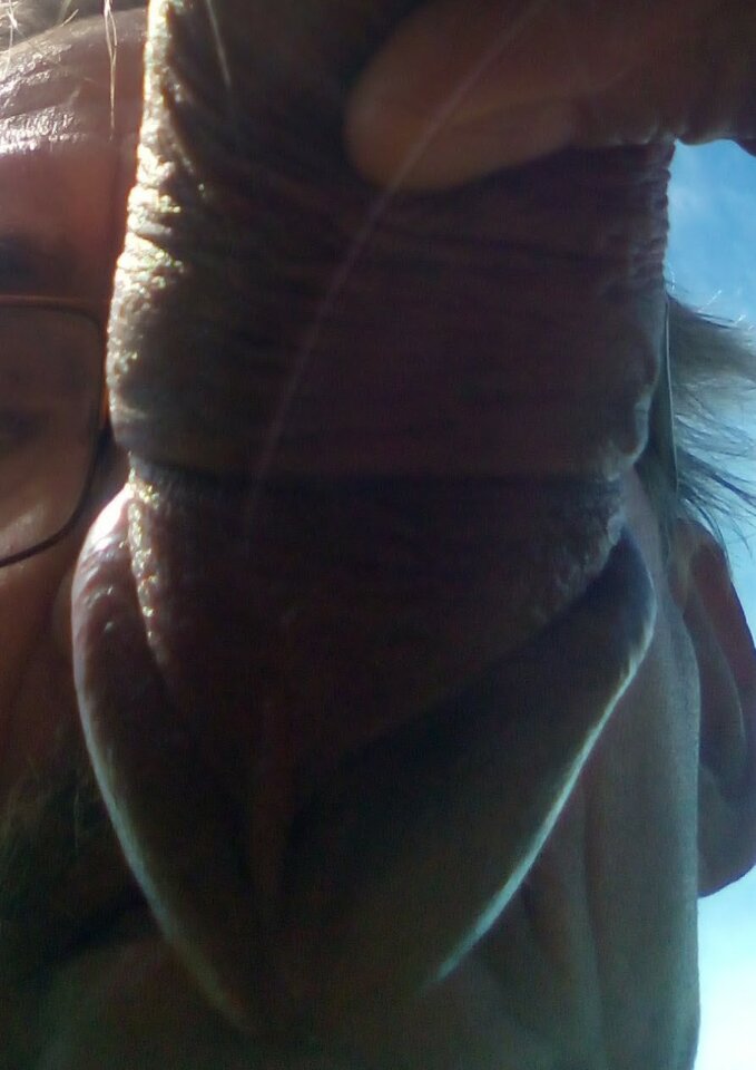 Wczorajsza zdobycz na plaży golasów i nie tylko. - 19Grzegorz55