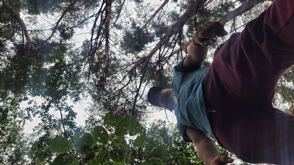 20230805_150318.jpg - CrazyDevil82