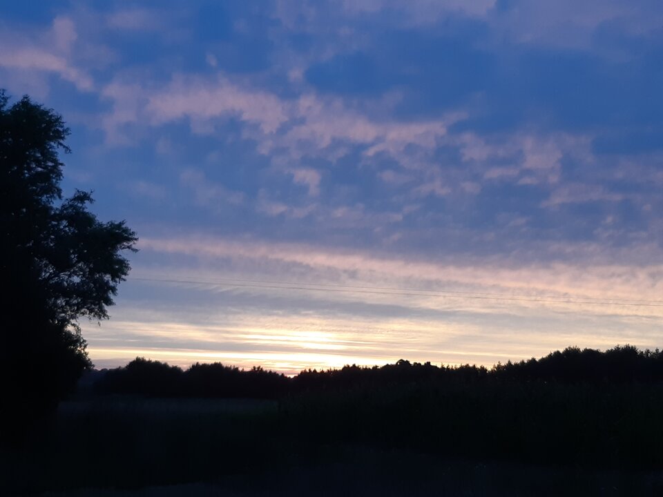 20230805_205605.jpg - misiu1969