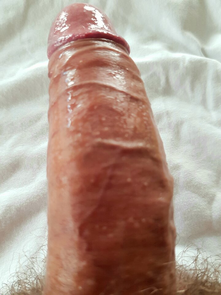 Fckr59.jpg - assface