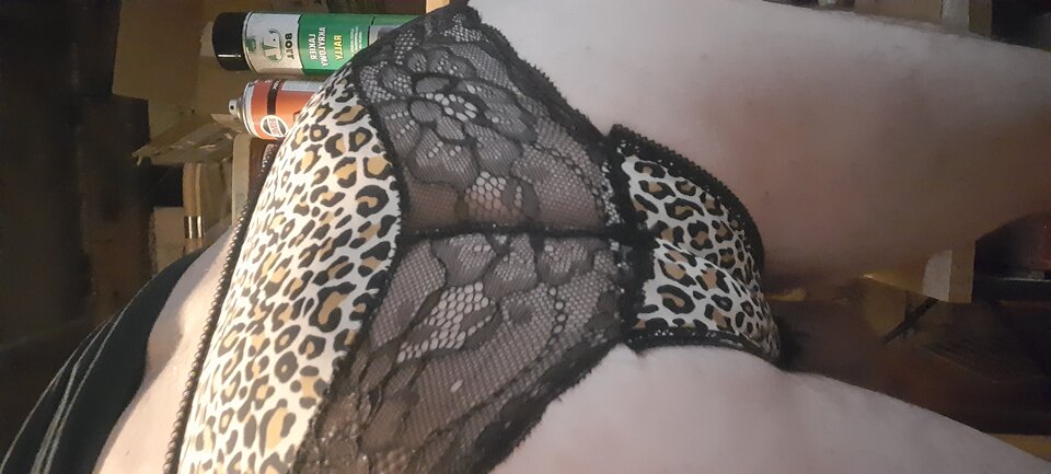 20230806_154457.jpg - Tygrys4040