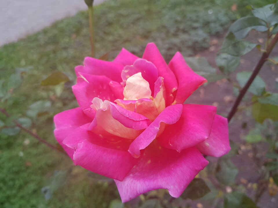 20221016_141545.jpg - kom12