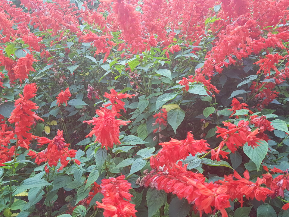 20221016_141142.jpg - kom12