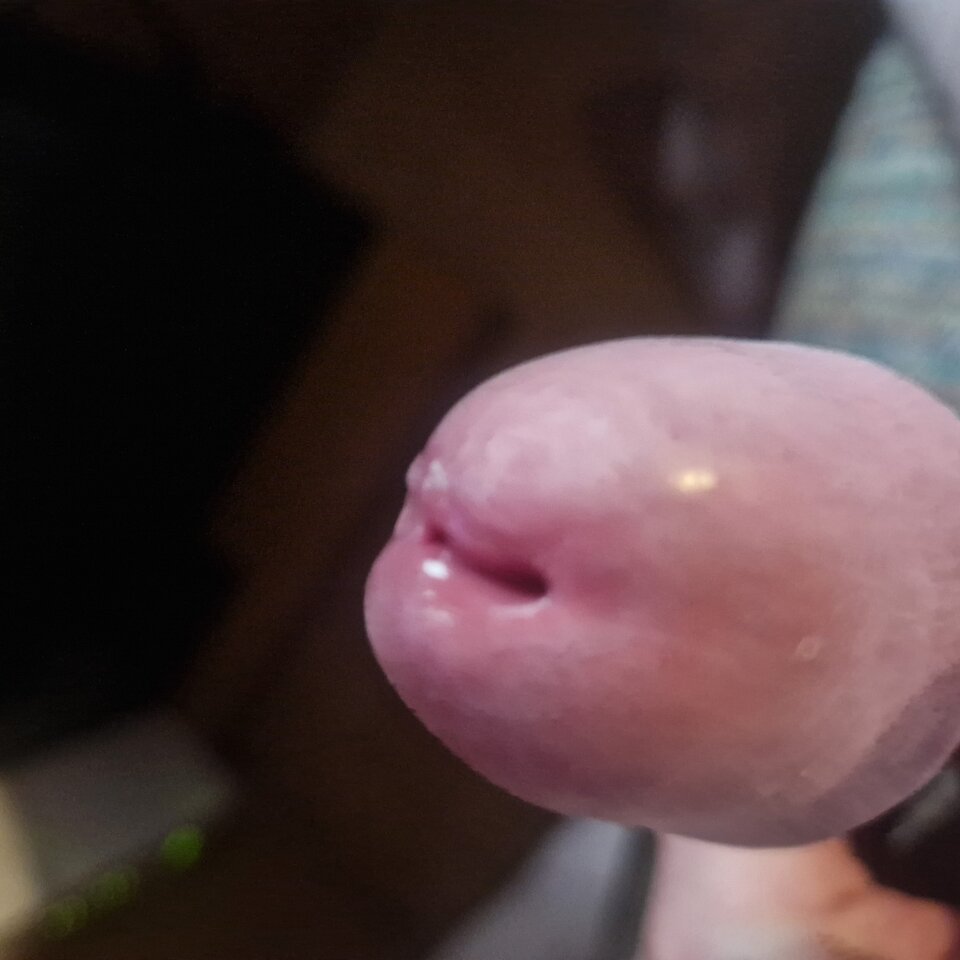 20230806_114308.jpg - RYSIO666