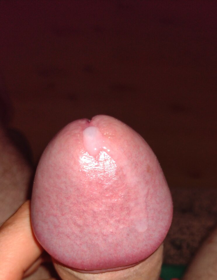 IMG_20230806_221019053~2.jpg - KP1975