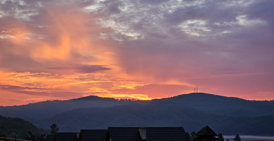 20230804_050755.jpg - Stef1970