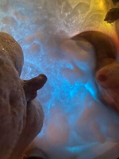 386907e9-7d00-4e53-b44e-c93881f60ebc.jpeg