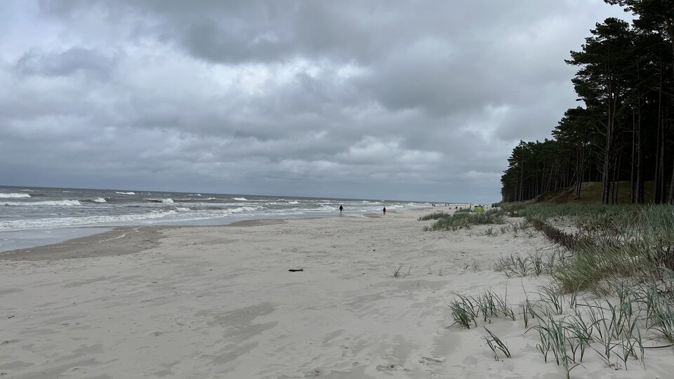 Dębki.jpeg - Wicki74