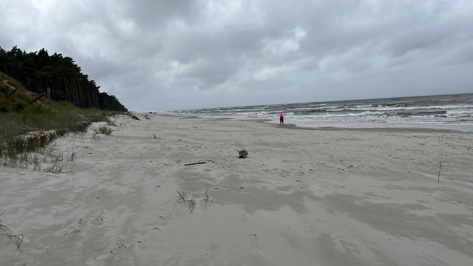 Dębki.jpeg - Wicki74