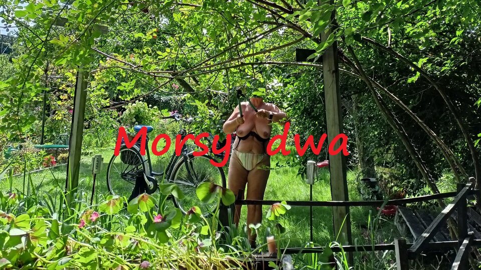 Postrzyżyny - Morsy_dwa