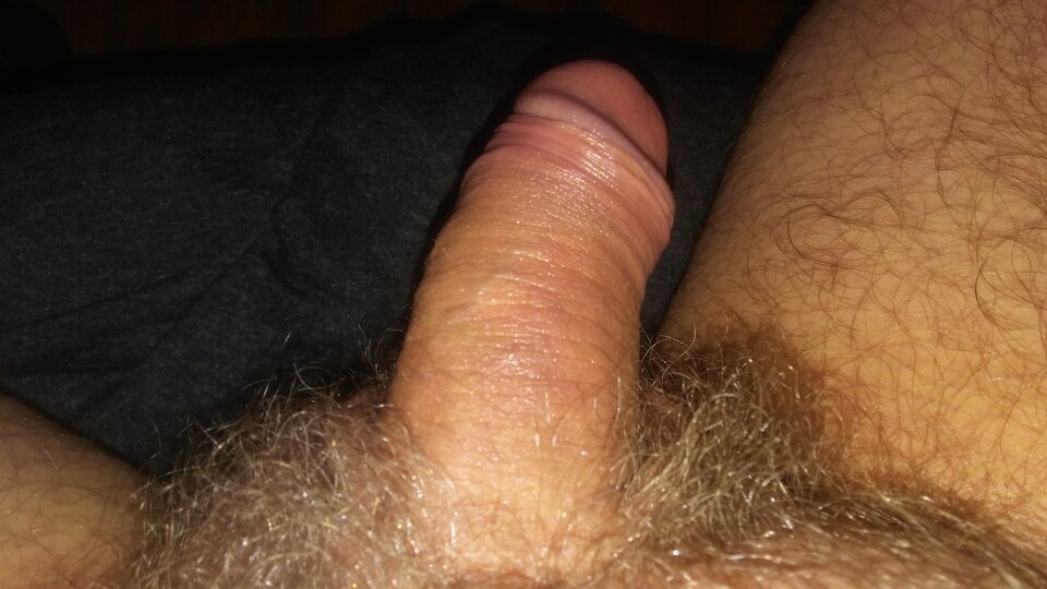 20230807_012009.jpg - pawelik334