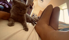 IMG_9060.jpeg