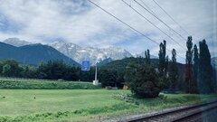 IMG_3367.jpeg
