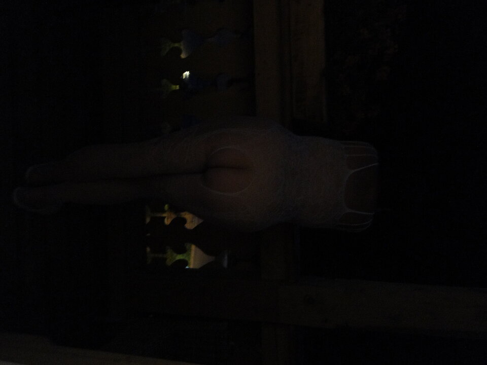 DSC06983.JPG - ciupciup6474