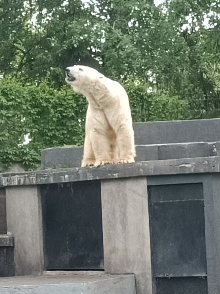 IMG20230520145046.jpg - Michal1988999