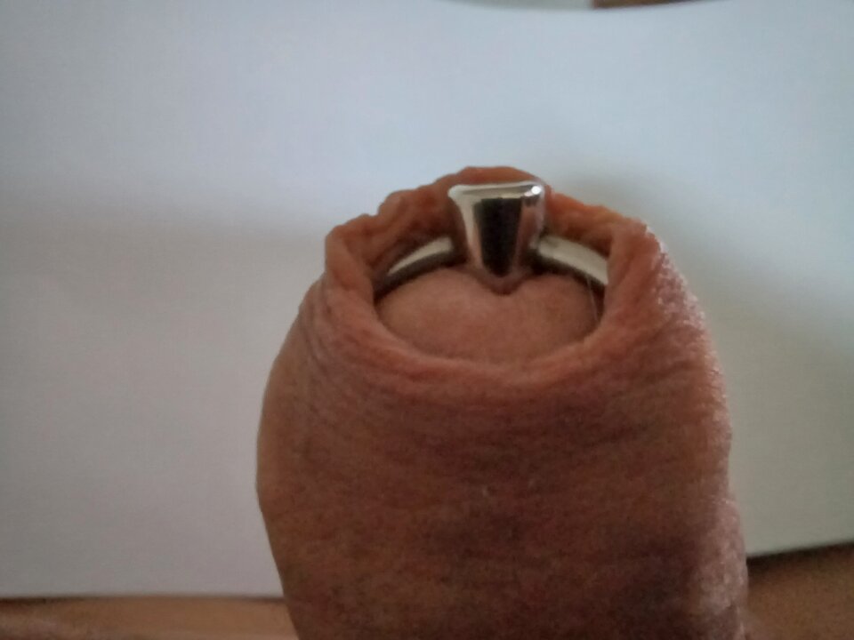 2023-08-07 15.56.47.jpg - LL74