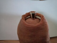 2023-08-07 15.56.47.jpg