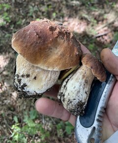 IMG_8882.jpeg