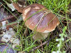 IMG_8880.jpeg