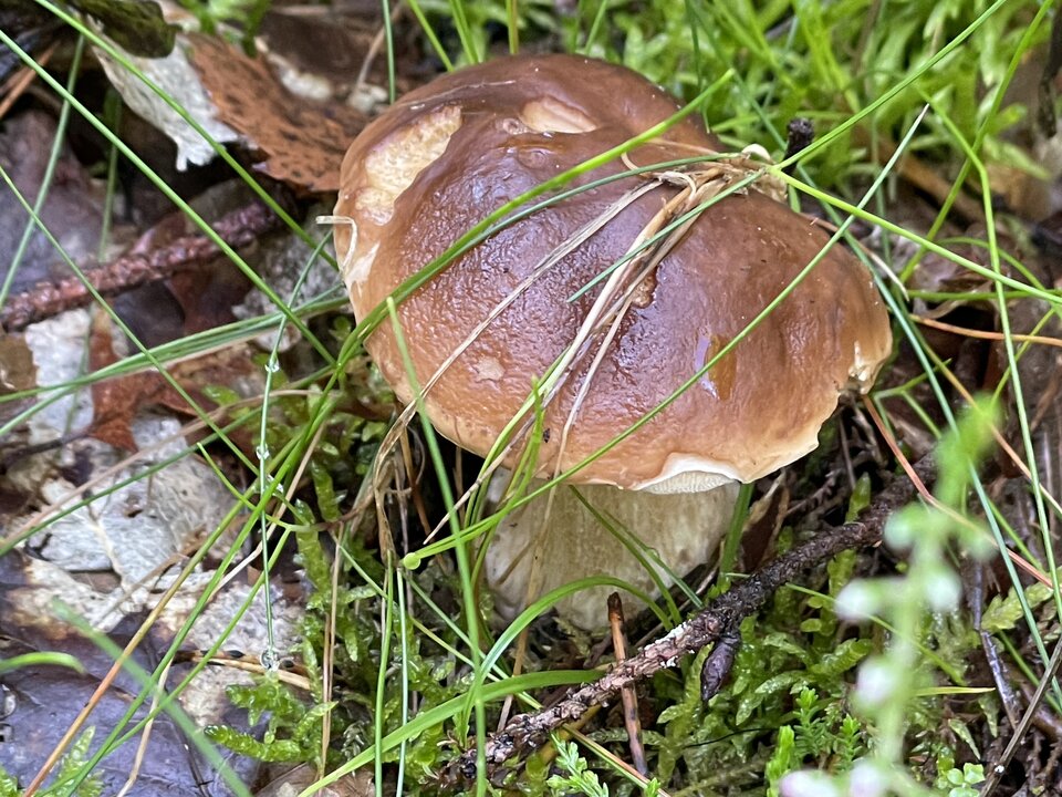 IMG_8880.jpeg - NaturystaXXX