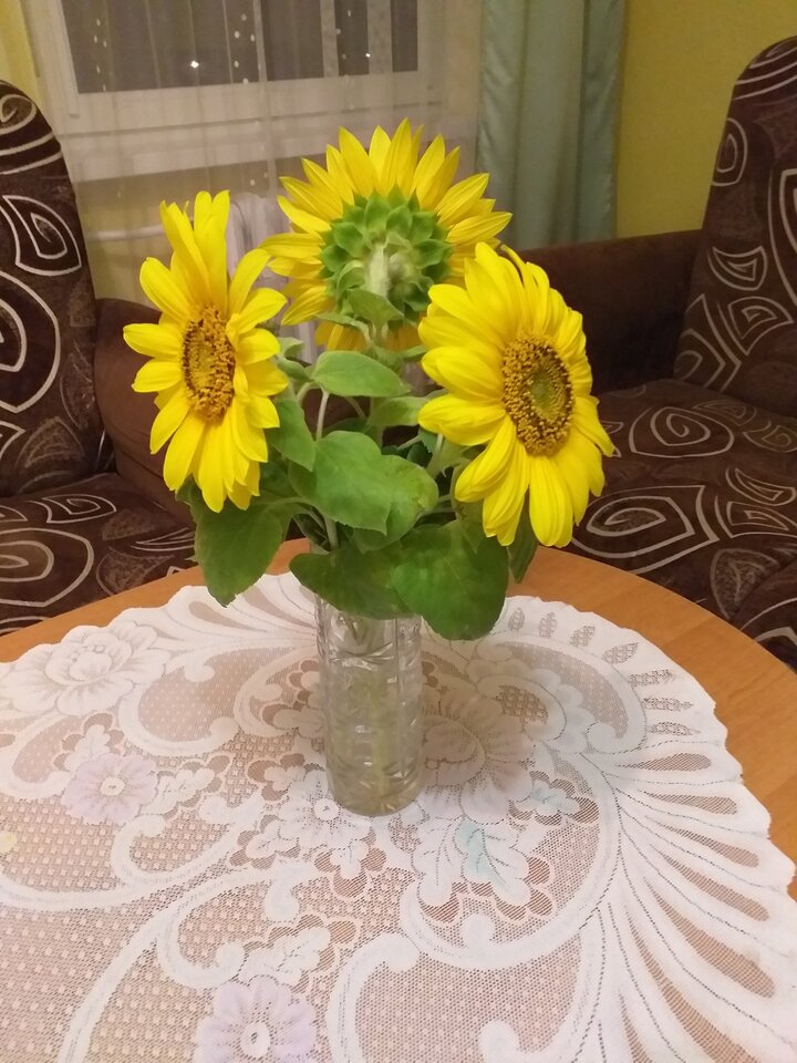 ... rozkoszować się wzajemnie na... - DarMaj71