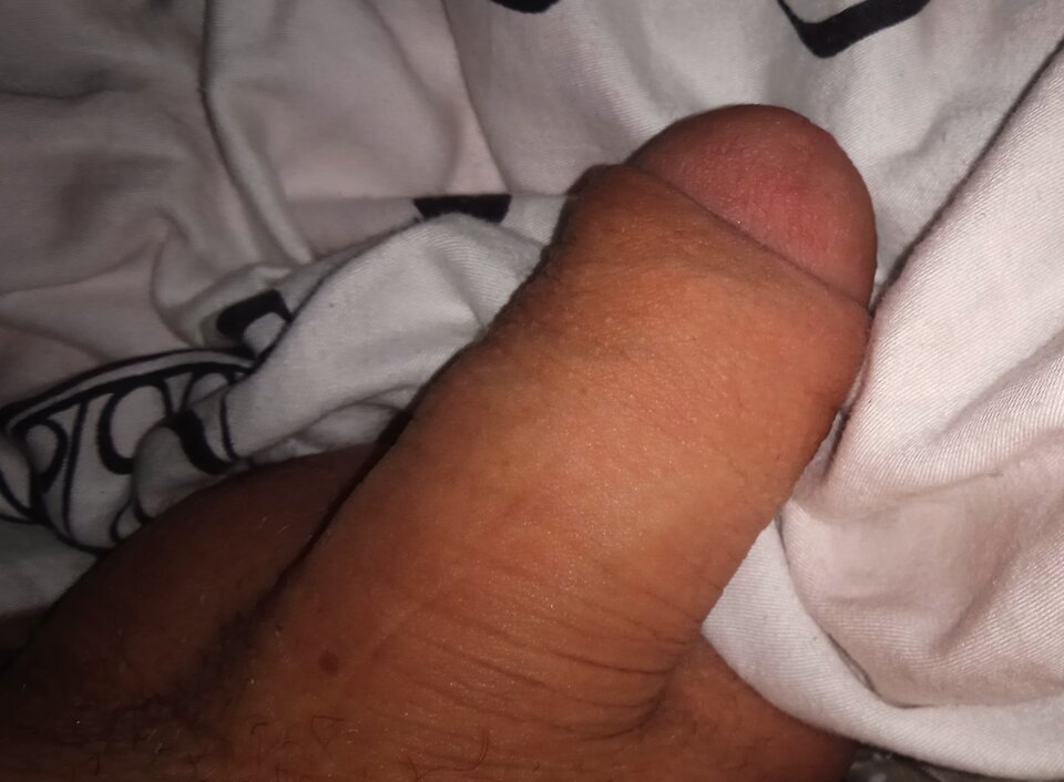 IMG_20230809_051430.jpg - BobopolakolodzioMiodzio