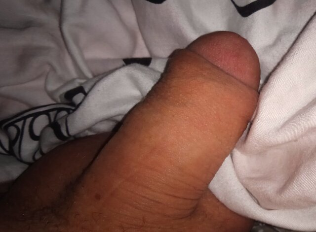 BobopolakolodzioMiodzio