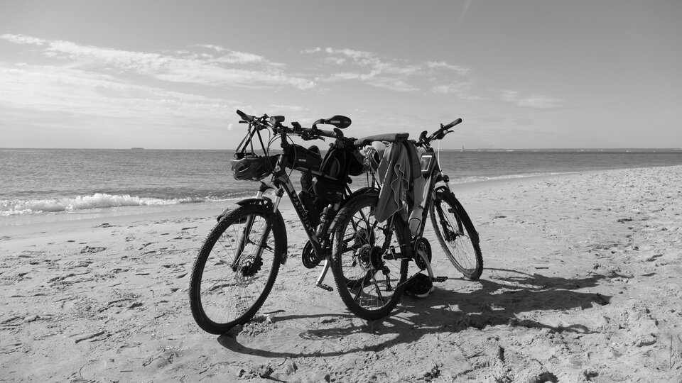 P1060163.JPG - guppy16