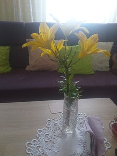 dbając o ogród odpłaca to pięknymi kwiatami...