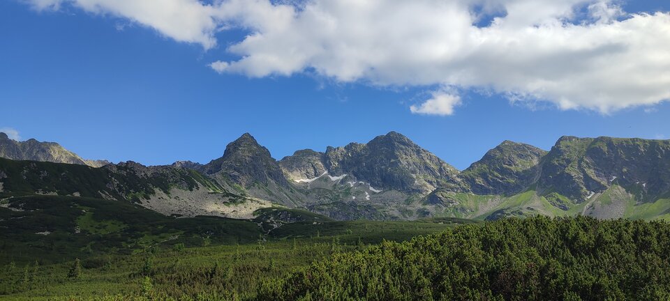 IMG_20230718_160529.jpg - misiek741