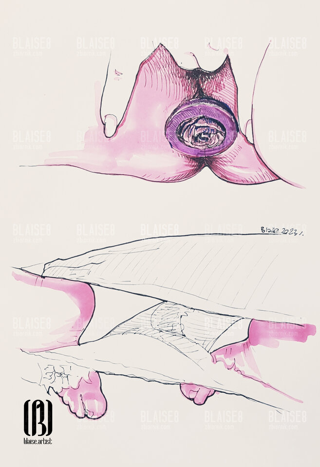 Art. No. 231 - blaise8