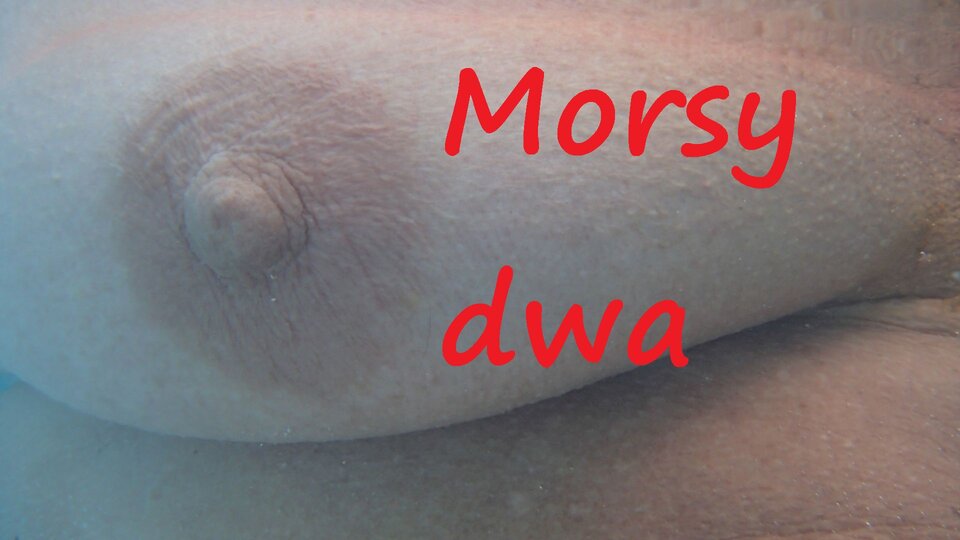 W basenie. - Morsy_dwa