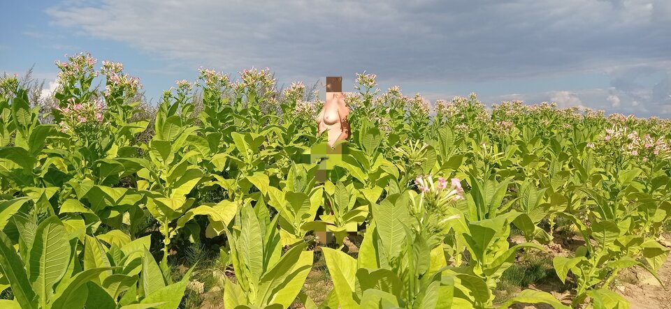 IMG_20230811_201503.jpg - SA17