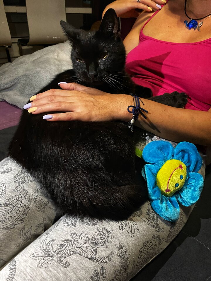 IMG_2446.jpeg - serialowapara19782