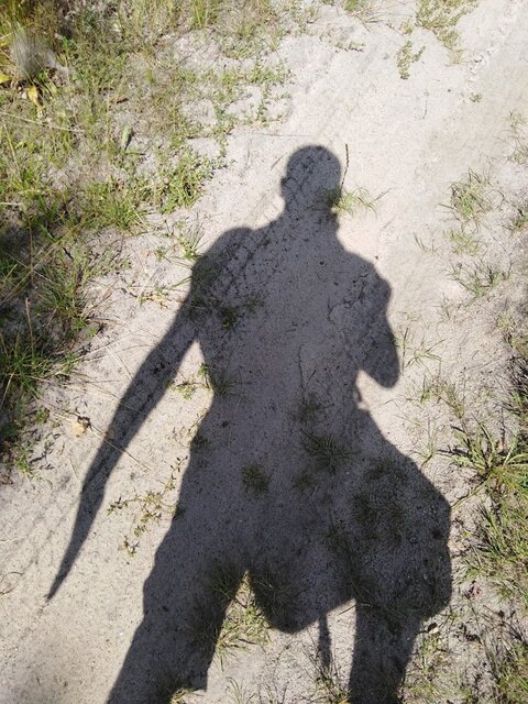 IMG_20230811_121733.jpg - Dab_Na_Polanie