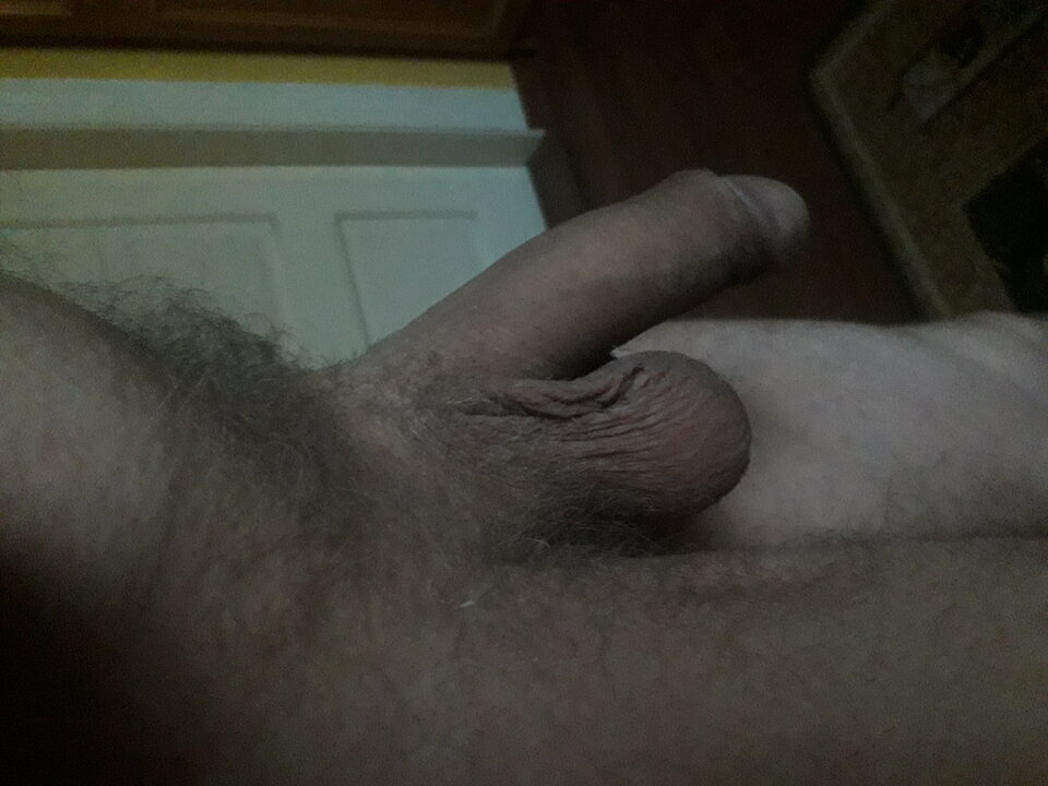 20230812_052028.jpg - brus13