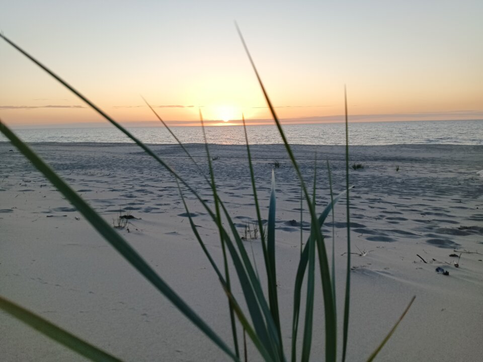 1000002699.jpg - Piter57