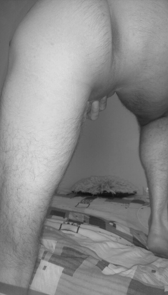 IMG_20230812_105523715.jpg - robercik3186