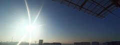 IMG_20230812_123131.jpg
