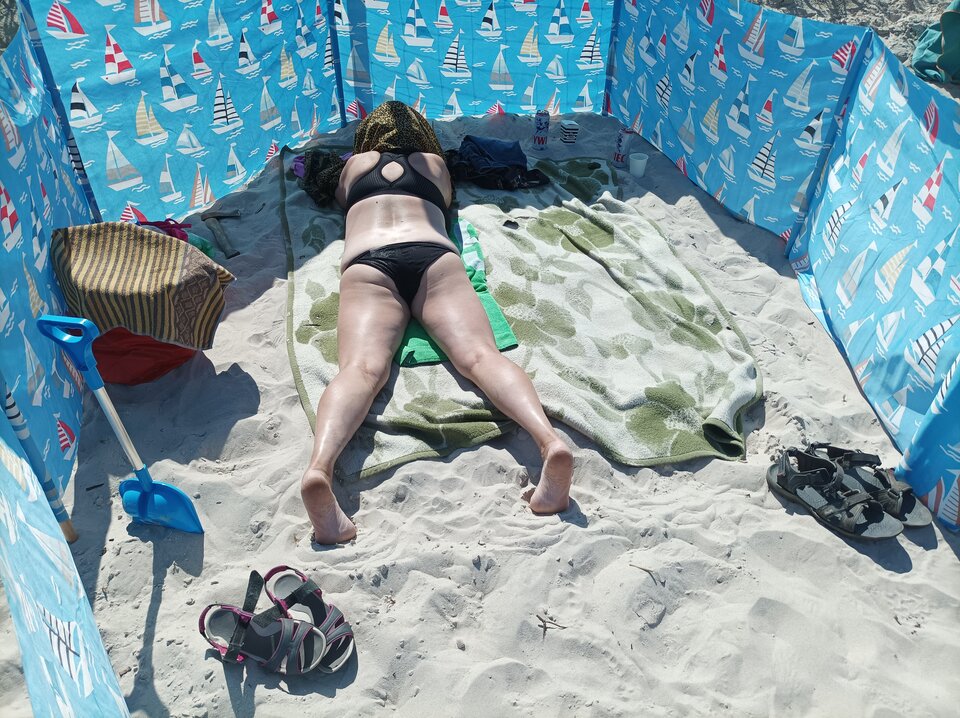 IMG_20230812_124032.jpg - jali