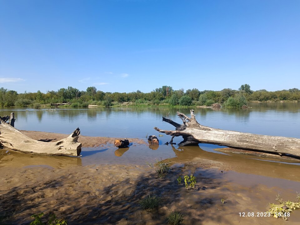 IMG_20230812_154852.jpg - smur