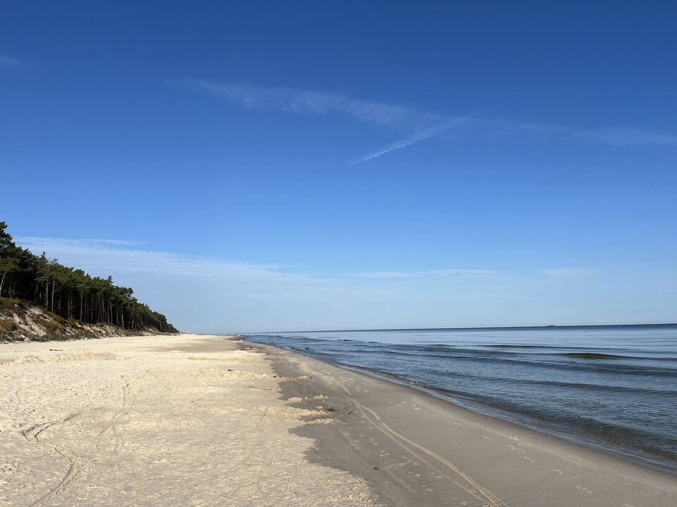 9B9CCD78-7FE4-412E-B5F1-42CA771FAC9D.jpeg - Wicki74