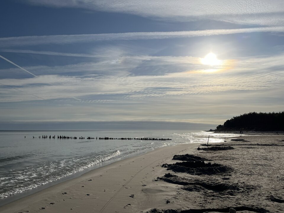 C6AA8A7A-D62A-4EE7-95E8-0E90E52711BE.jpeg - Wicki74