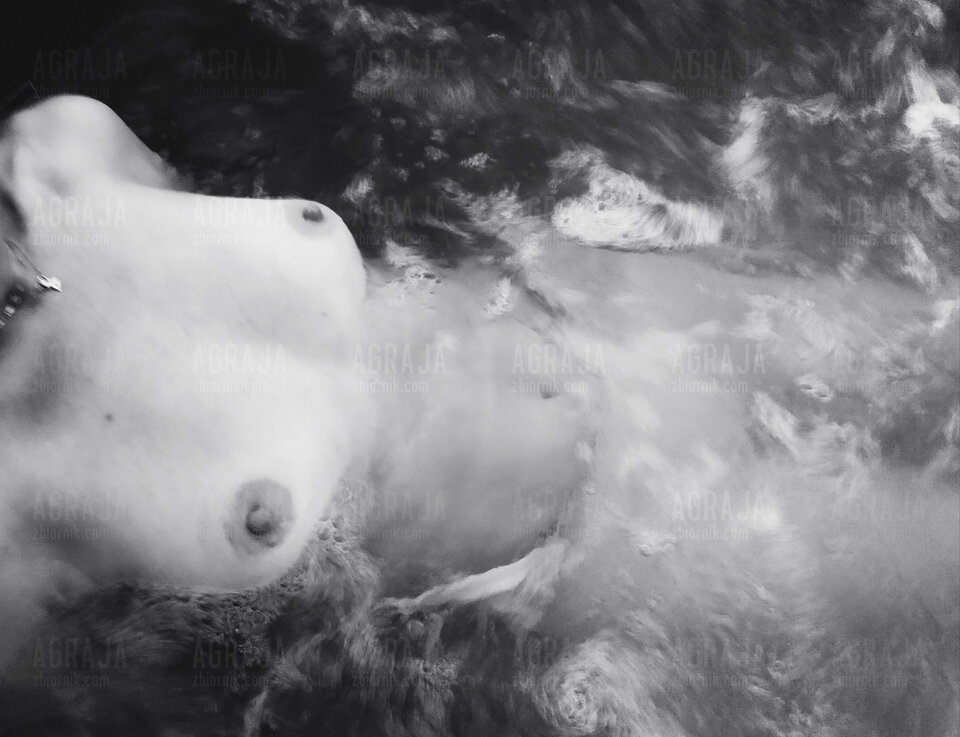 IMG_20230812_203646.jpg - Agraja