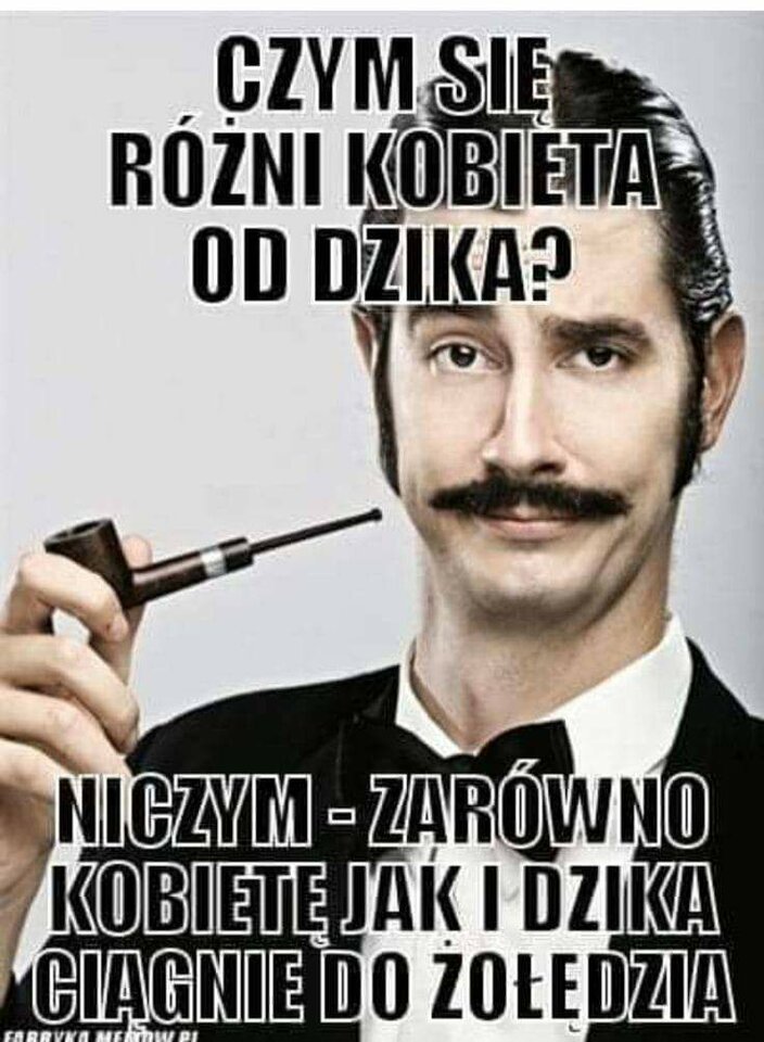 Dziki dzik ? - pokazealesieboje