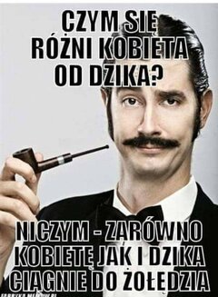 Dziki dzik ?