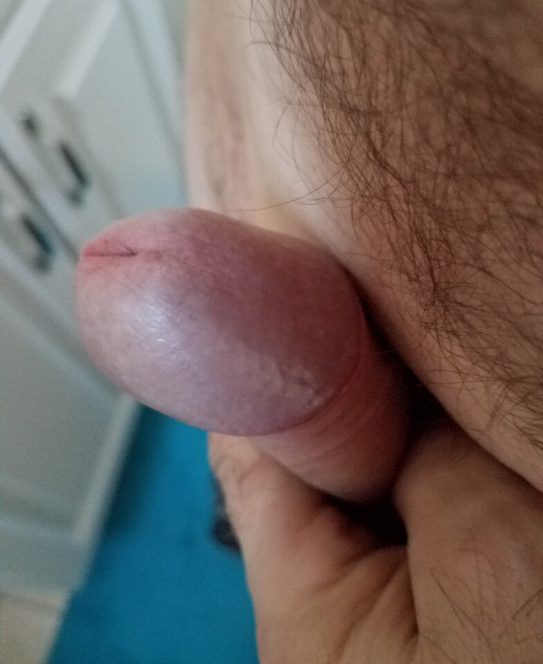 sgs_193309.jpg - ny39