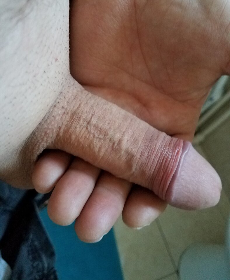 sgs_193220.jpg - ny39